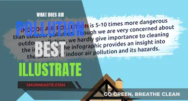 Air Pollution: A Complex Web of Human Activity