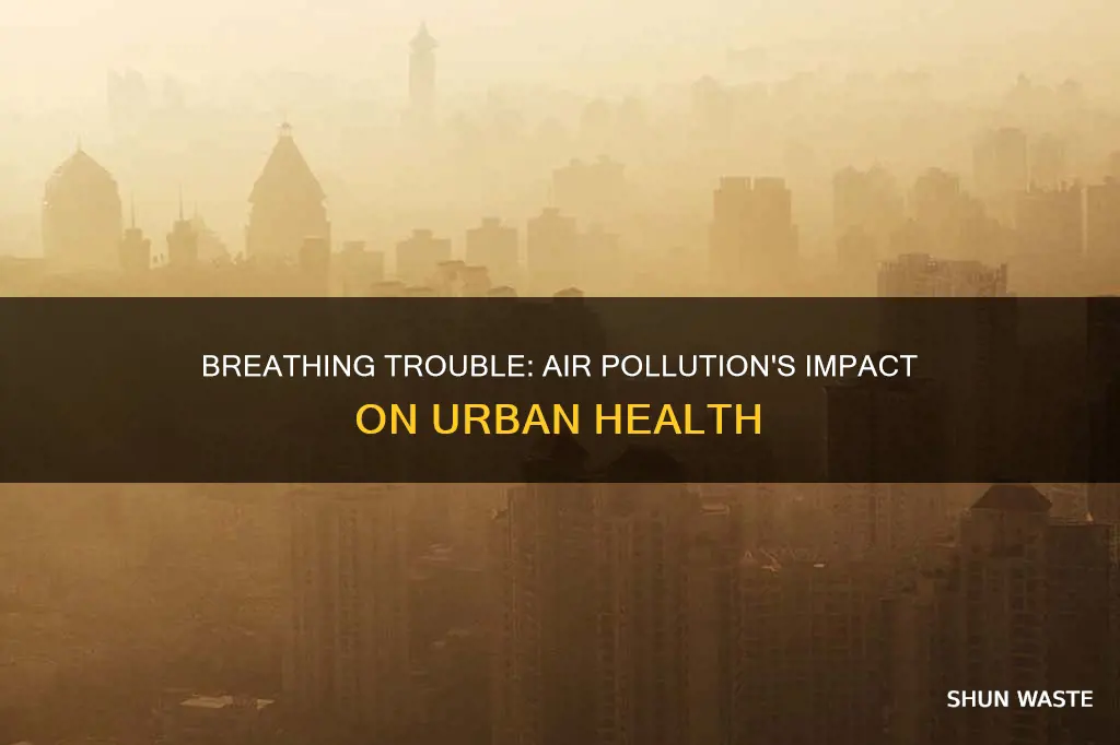 what does air pollution cause in cities