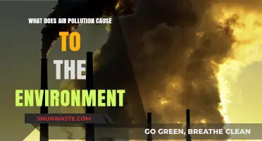 Air Pollution's Environmental Impact: A Deep Dive