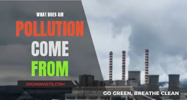 Air Pollution: Sources and Origins