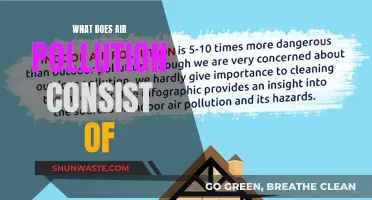 Air Pollution: Understanding the Complex Composition