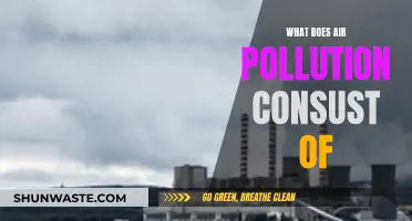 Air Pollution: What's in the Air We Breathe?