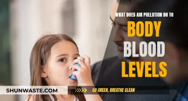 Air Pollution: Impact on Blood, Health Hazards