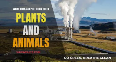 Air Pollution: Harming Nature's Balance