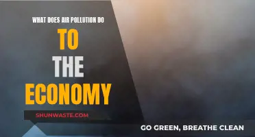 Air Pollution: Economic Costs and Impacts