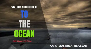 Air Pollution's Impact on Our Ocean