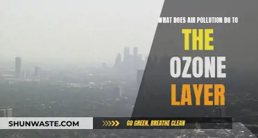 Air Pollution: Damaging Our Ozone Layer