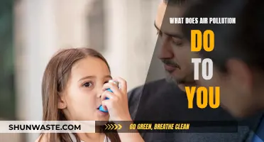 Air Pollution: How It Affects Your Health