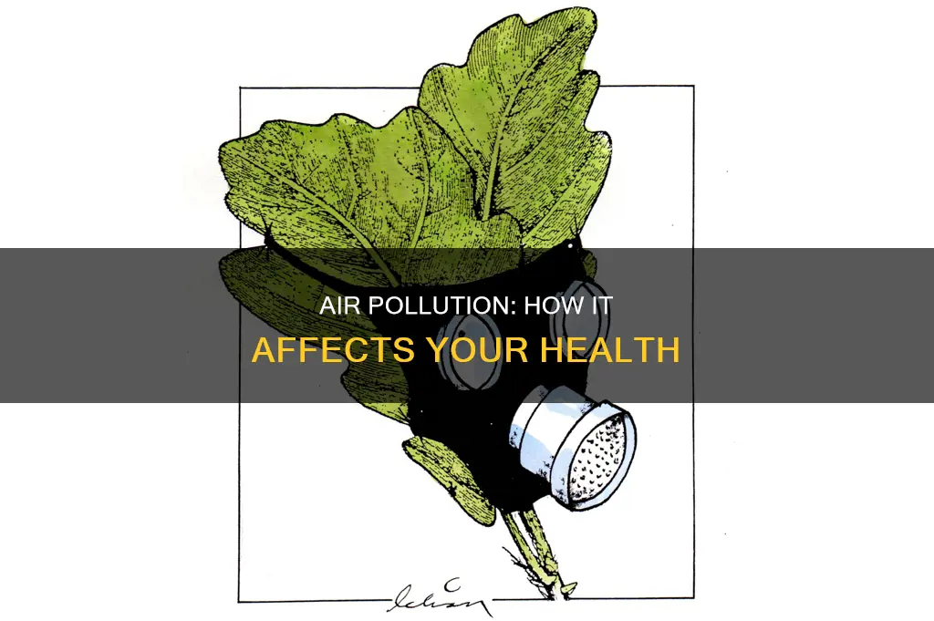 what does air pollution do to you