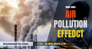 Air Pollution: A Silent Killer and Health Hazard