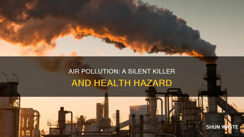 what does air pollution effedct