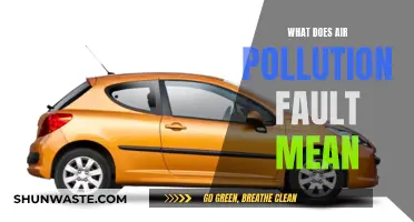 Air Pollution Fault: What Does It Mean?