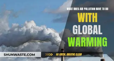 Air Pollution's Role in Global Warming