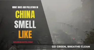The Smell of China's Air Pollution Crisis