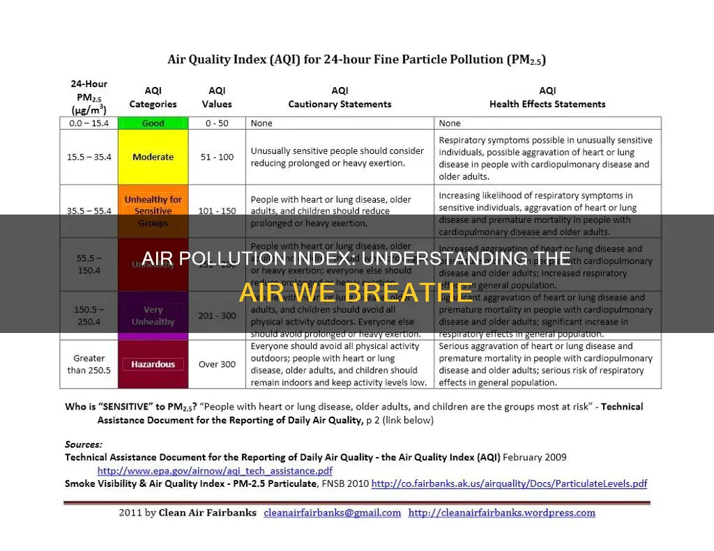 what does air pollution index mean