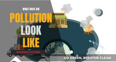 Air Pollution: Visualizing the Invisible Danger