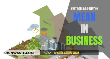 Air Pollution: Business Impacts and Responsibilities