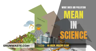 Air Pollution: Science's Definition and Impact