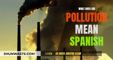 Air Pollution: Spanish Translation and Understanding