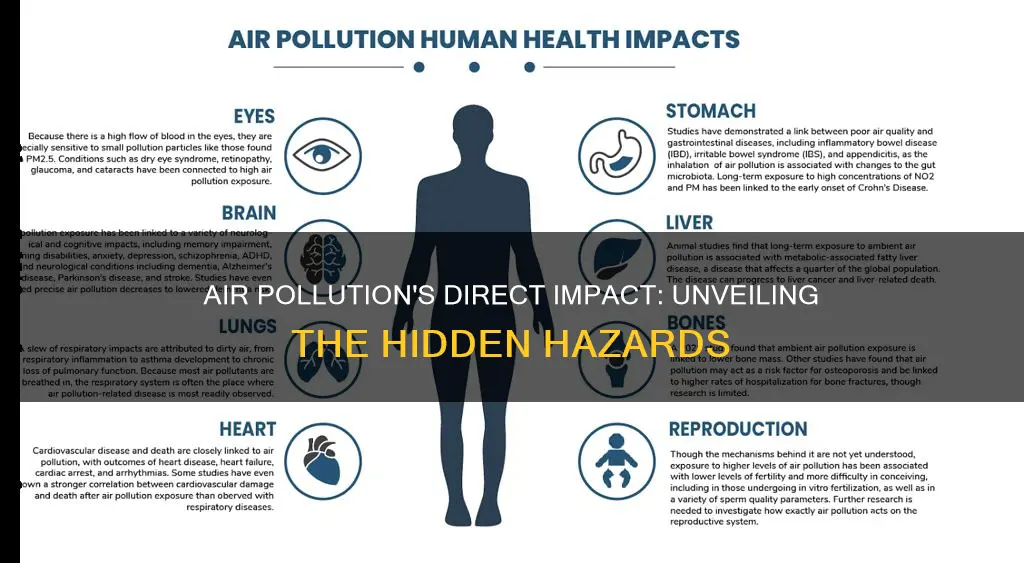 what does air pollution most directly cause