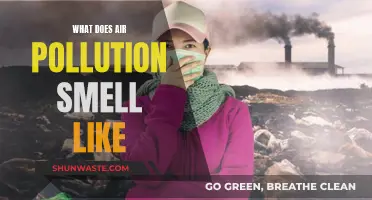 Air Pollution: What's That Smell?