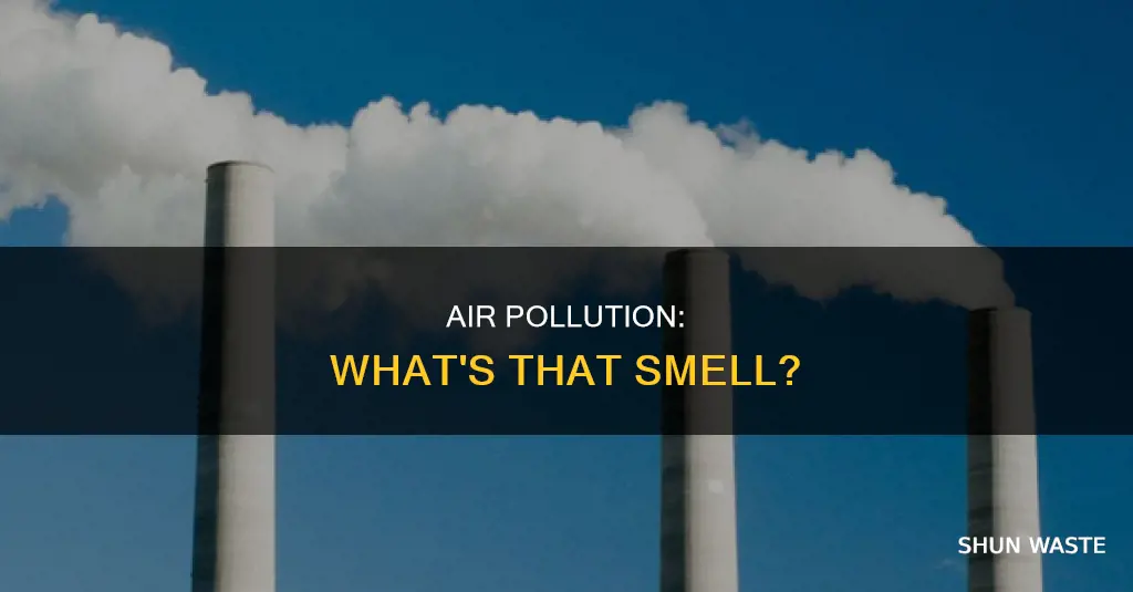 what does air pollution smell like