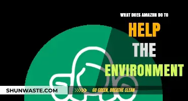 Amazon's Green Initiatives: How the Company Supports Environmental Sustainability