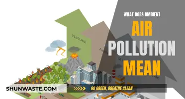 Air Pollution: What's in the Air We Breathe?