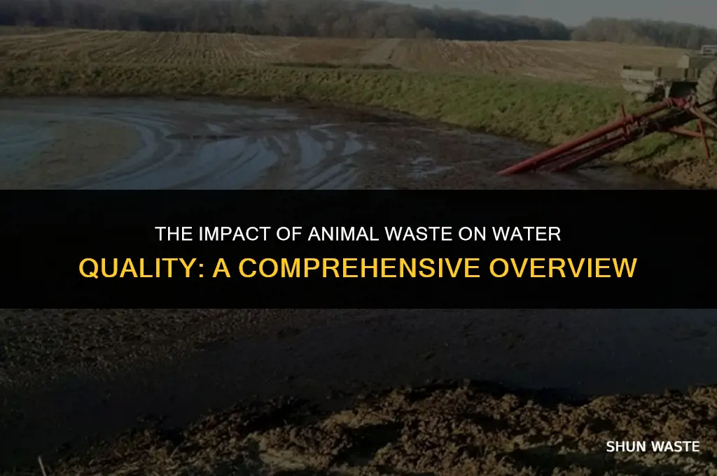what does animal waste do to water