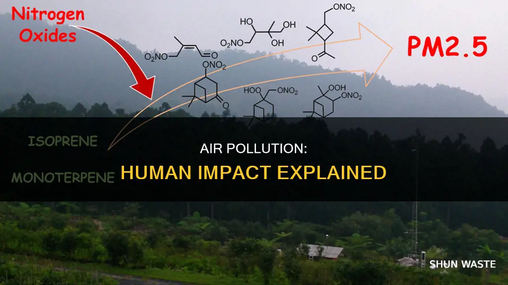 what does anthropogenic air pollution mean