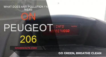 Troubleshooting Peugeot 206's Anti-Pollution Fault