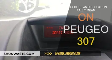 Anti-Pollution Fault: Peugeot 307's Warning Sign