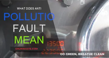 Understanding Anti-Pollution Faults: What Does It Mean?