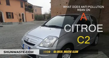 Anti-Pollution Systems in Citroën C2: What Does It Mean?