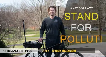 Understanding AOT: Fighting Pollution and Its Impact
