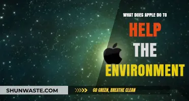 Apple's Green Initiatives: How the Tech Giant Protects Our Planet