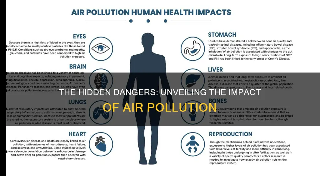 what does bad air pollution cause