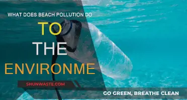 Beach Pollution: Environmental Impact and Devastation