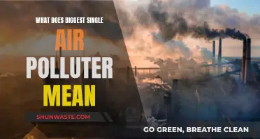 Air Pollution: The Biggest Single Polluter's Impact