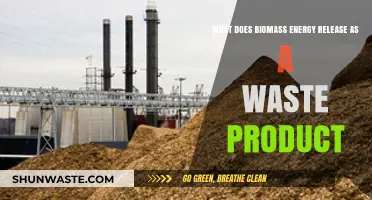 Exploring the Byproducts of Biomass Energy Production