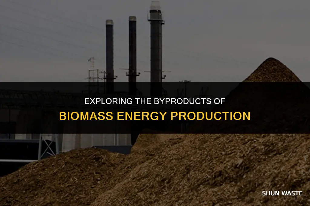 what does biomass energy release as a waste product