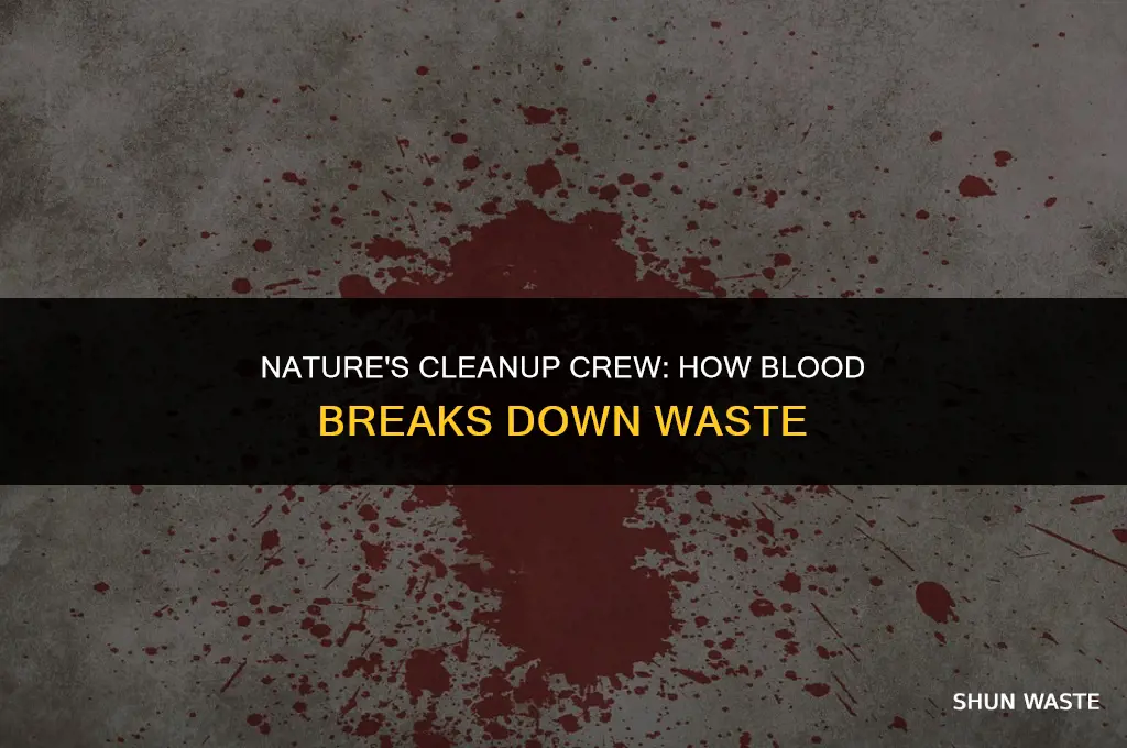 what does blood use to break down waste