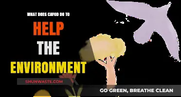 CAFOD's Environmental Impact: Sustainable Solutions for a Greener Future