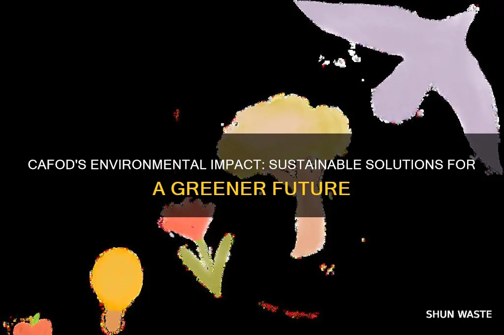 what does cafod do to help the environment