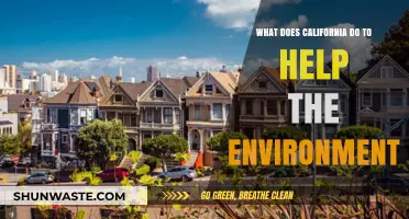 California's Green Initiatives: Leading Environmental Conservation Efforts Nationwide