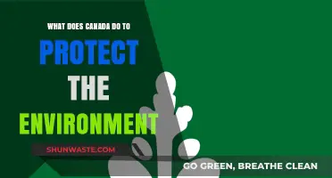Canada's Environmental Stewardship: Policies and Actions for a Greener Future