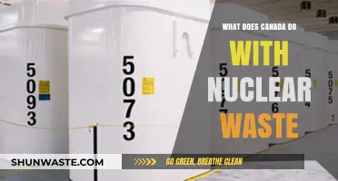 Managing the Unseen Danger: Canada's Approach to Nuclear Waste Disposal