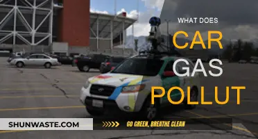 Car Gas: Polluting Our Planet