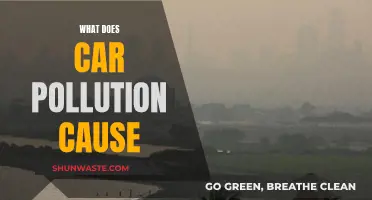 Unveiling the Impact: Car Pollution's Hidden Dangers