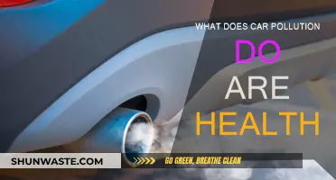 Car Pollution: A Slow Poison for Our Health